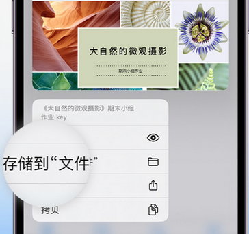 黄山apple维修中心分享iPhone文件应用中存储和找到下载文件