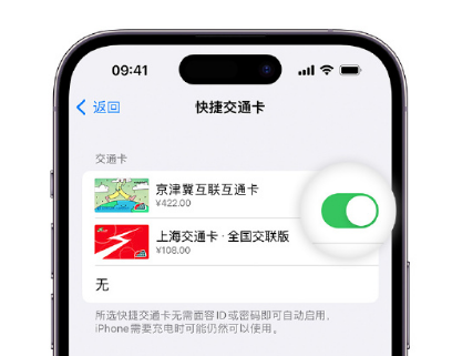 黄山apple维修点分享iPhone上更换Apple Pay快捷交通卡手绘卡面 