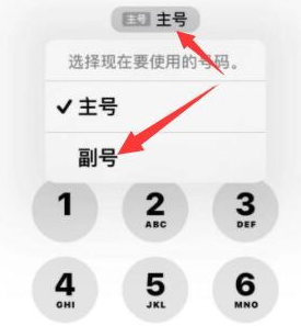 黄山苹果14维修店分享iPhone 14 Pro Max使用副卡打电话的方法 