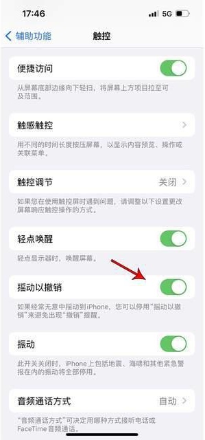 黄山苹果手机维修分享iPhone手机如何设置摇一摇删除文字 