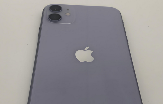 黄山苹果11系统维修分享iPhone11手机系统崩溃无法开机如何解决 